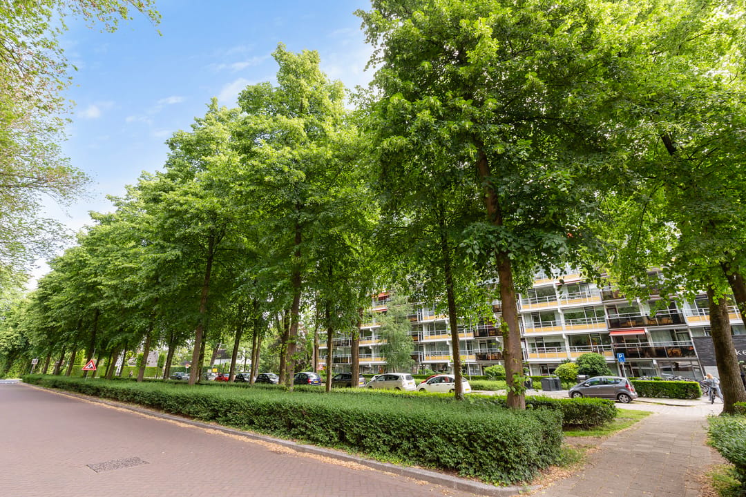 Foto 32 van Koning Lodewijklaan 230