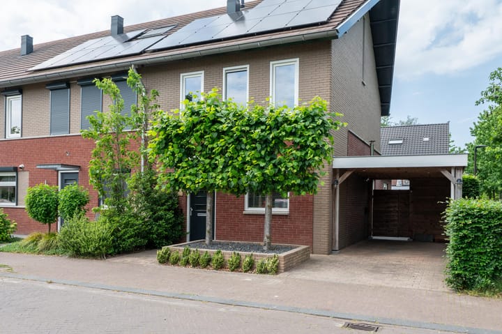 Photo 4 of Aaltsengoed 110