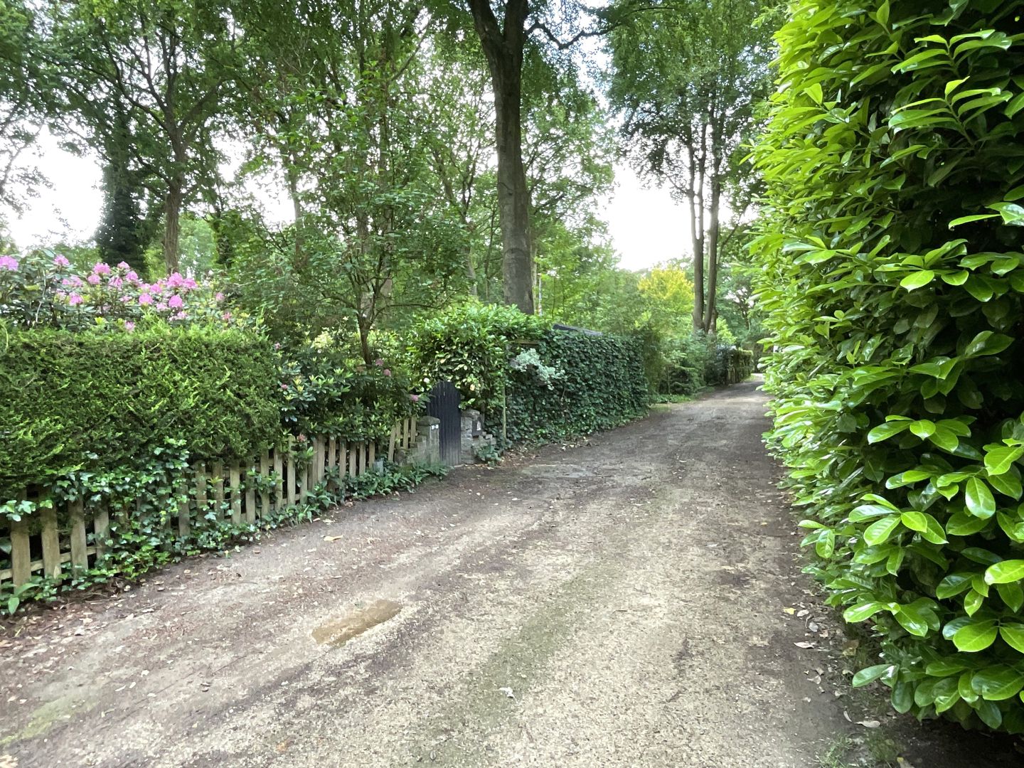 Foto 19 van Eendenparkweg 37-29