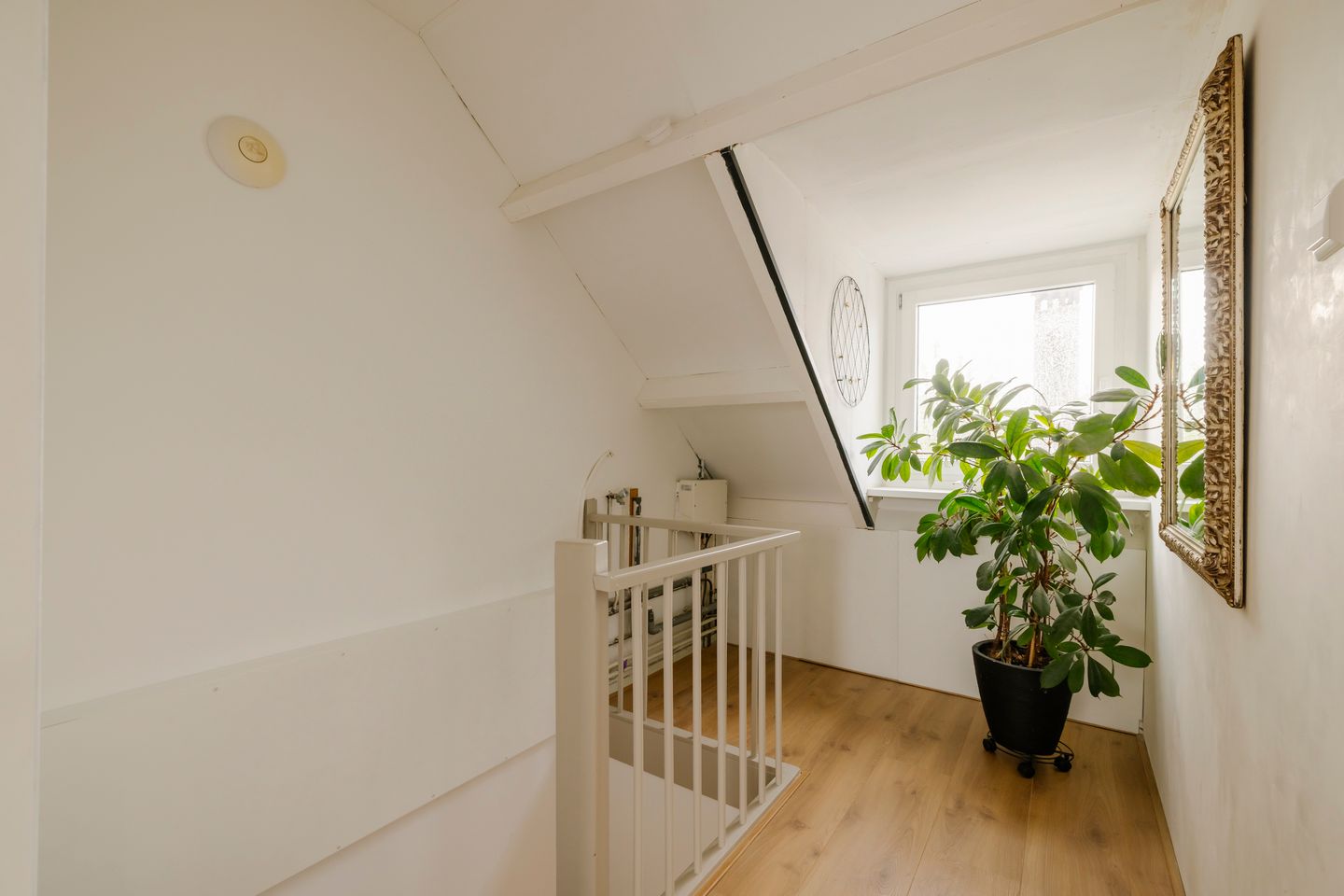 Foto 40 van Meeuwenstraat 80