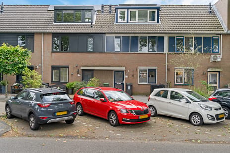 Groen-blauwlaan thumbnail