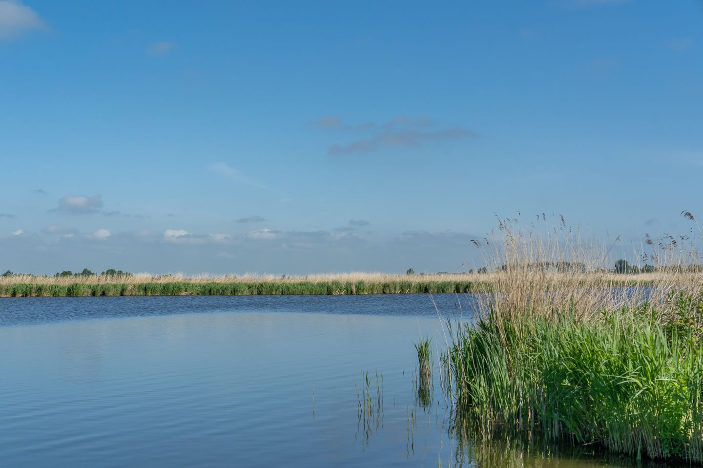 Photo 34 of Dorpsstraat Holysloot 45