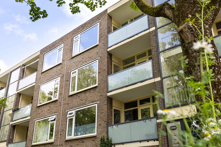 Foto 5 van Betje Wolffstraat 52