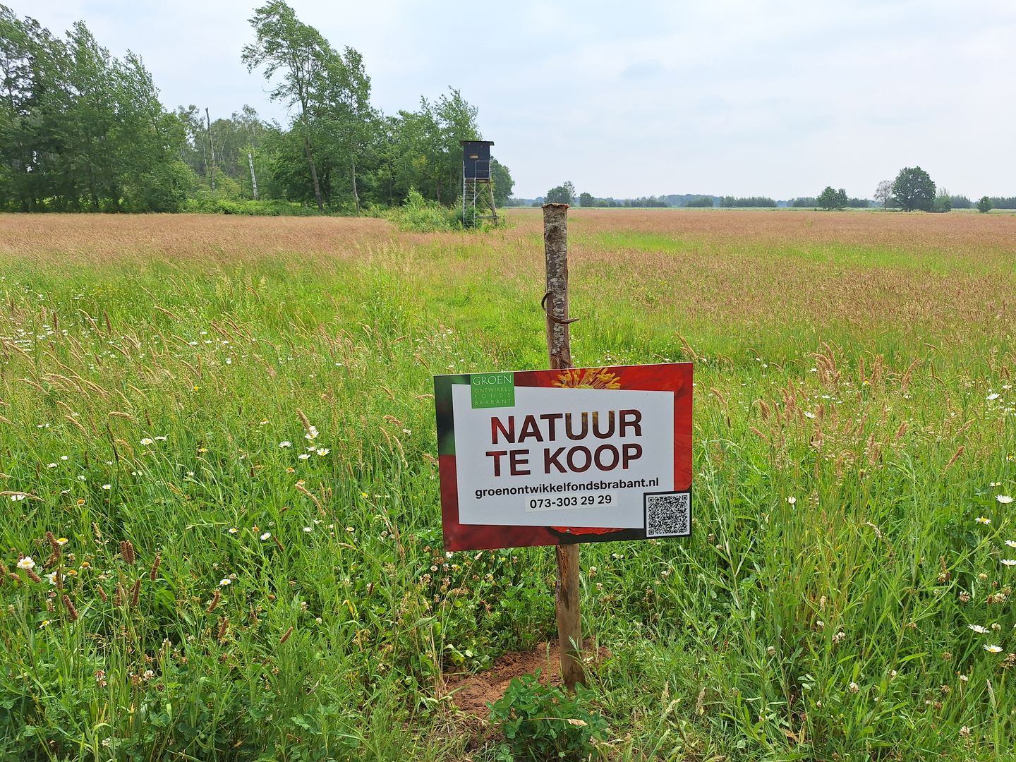 Kokmeeuwenweg - Heusden (Gem. Asten) - Afbeelding 1