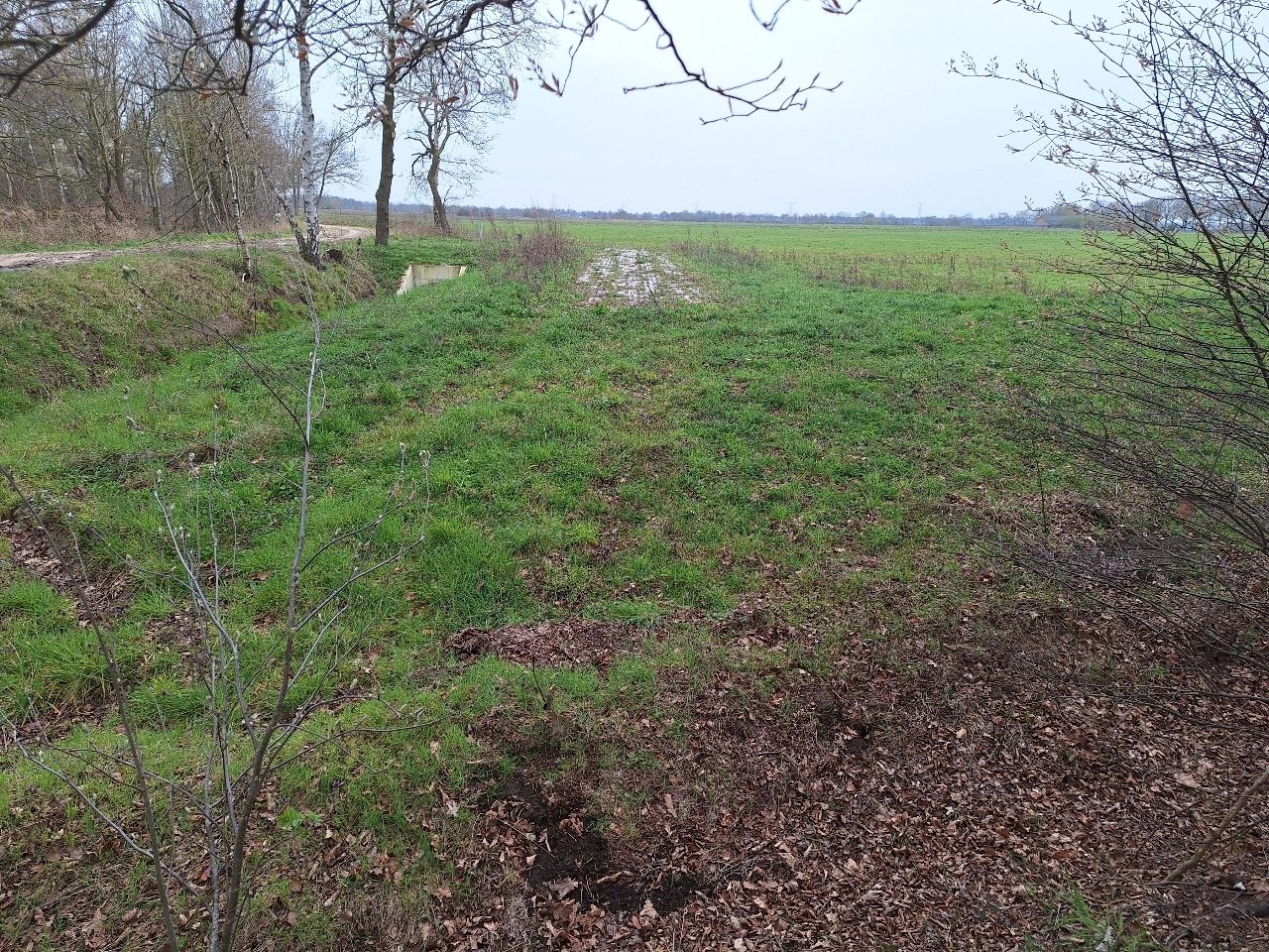 Bekijk foto 2 van Kokmeeuwenweg
