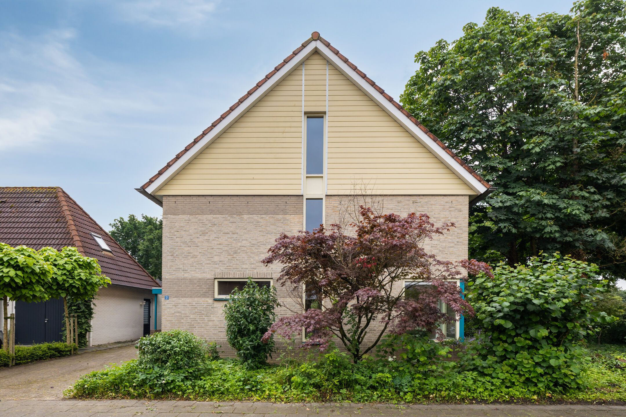 Foto 6 van Teunisbloem 7