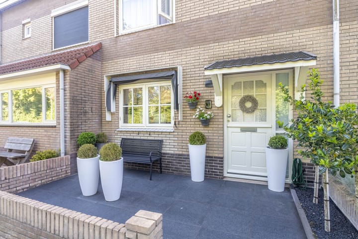 Foto 4 van Vroegeling 65