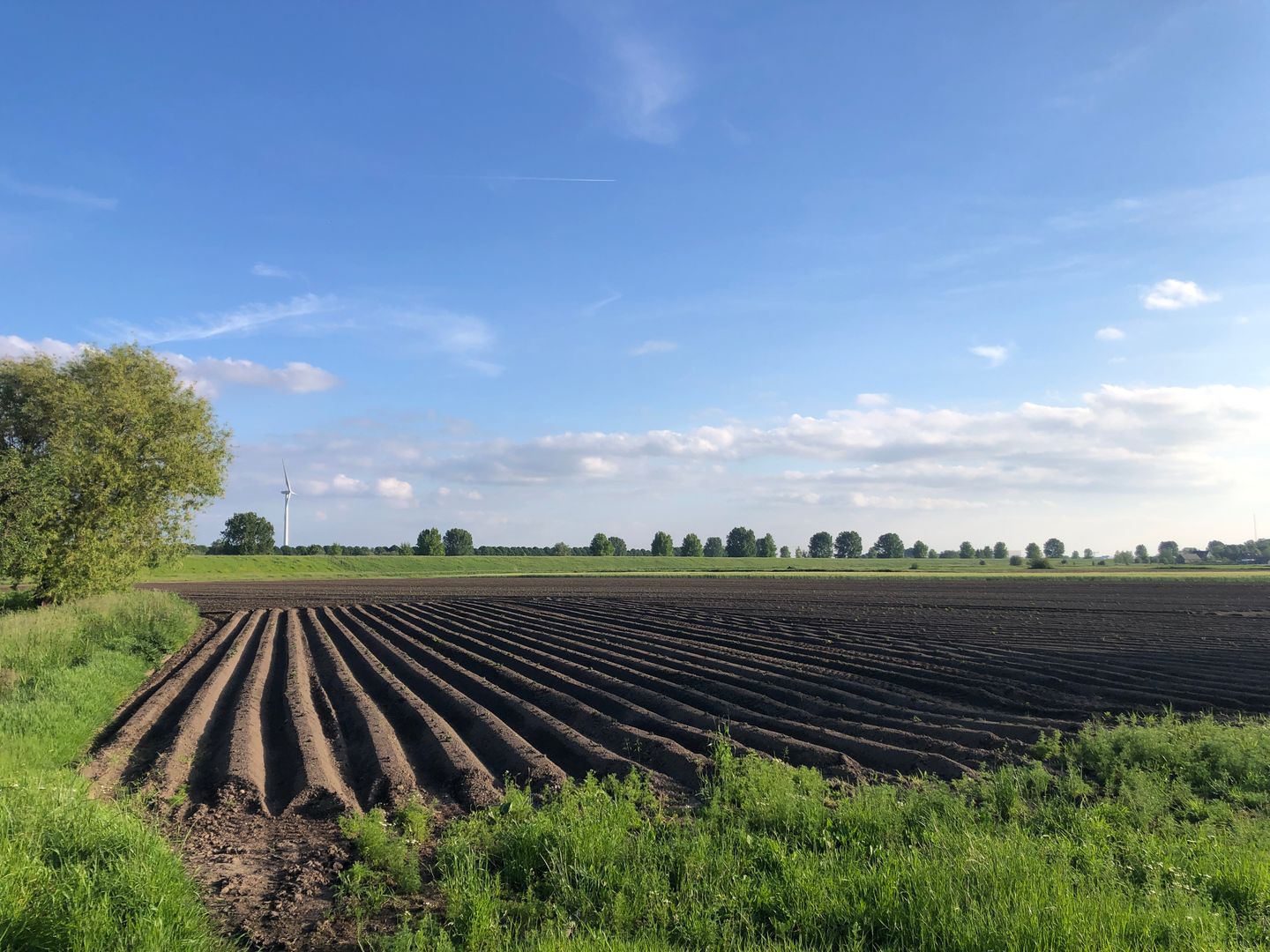 Bekijk foto 5 van Tol