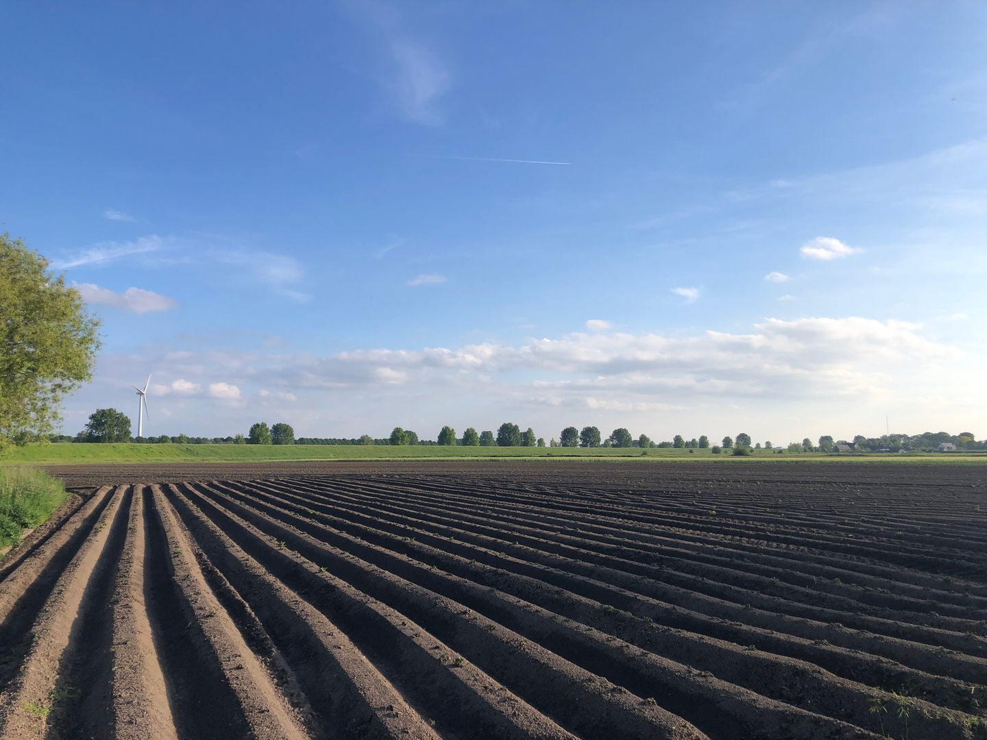 Tol - Drongelen - Afbeelding 7