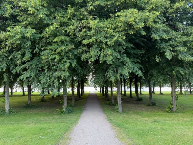 Foto 19 van Oostmaaslaan 45-F