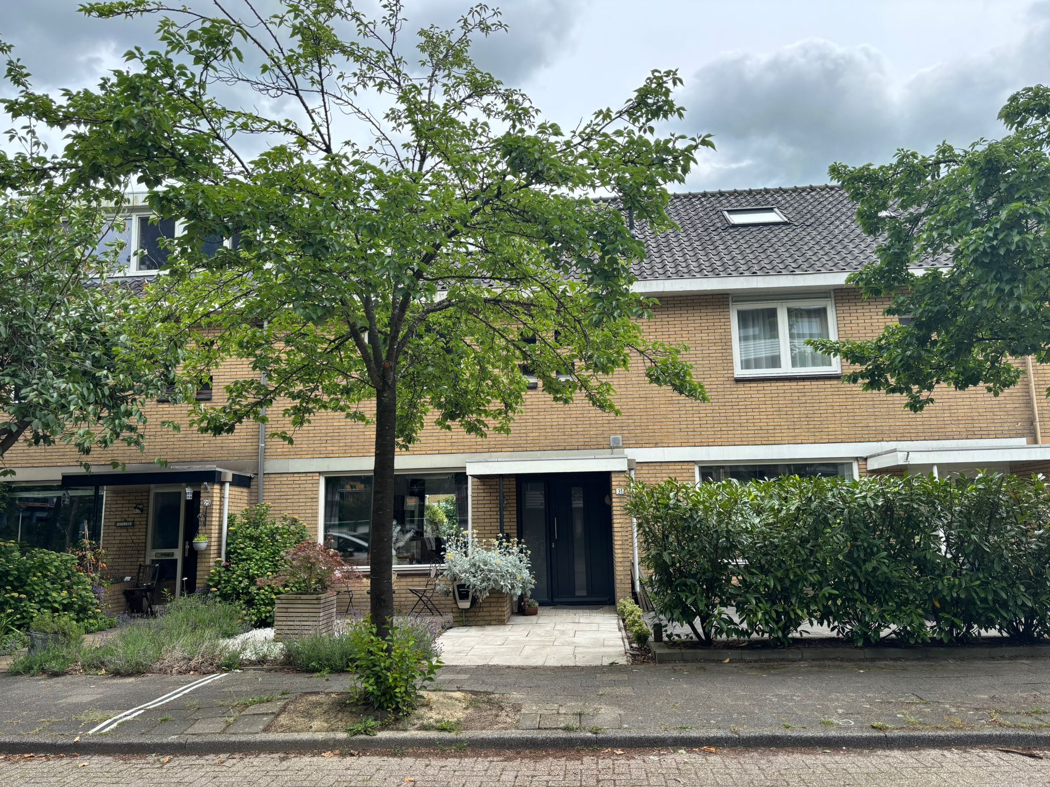 In de Wolken 31 