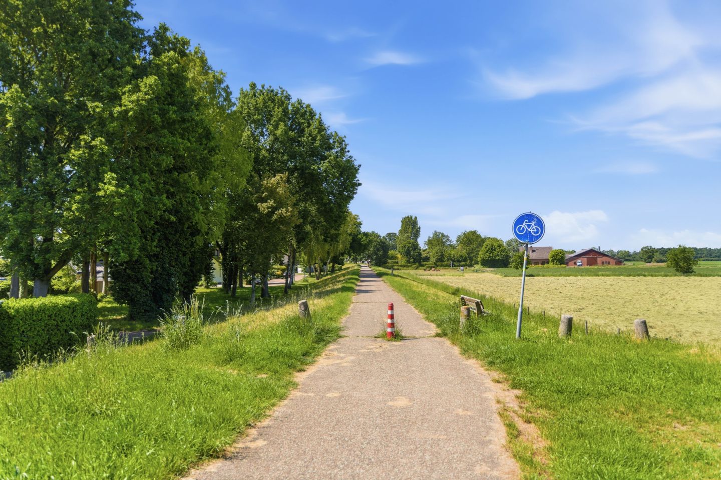 Photo 34 of Sweelinck 114
