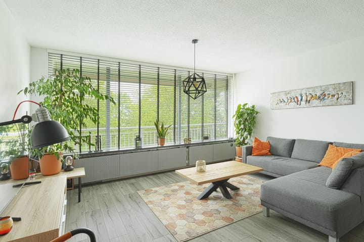 Seringenplantsoen 261
