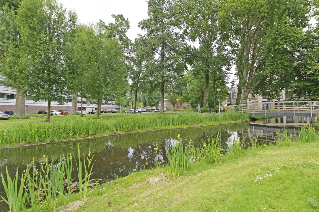 Foto 32 van Catsveld 92