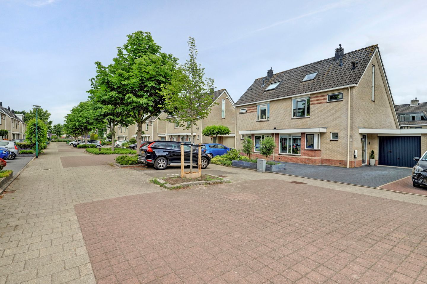 Photo 40 of Sterremos 19