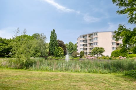 Lindenlaan thumbnail
