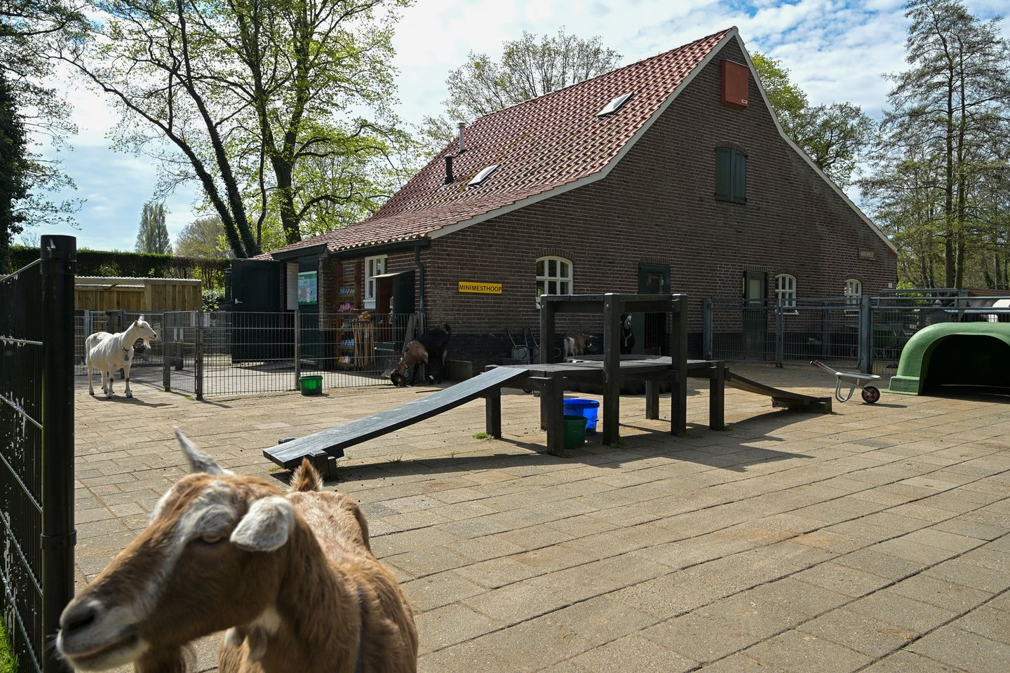 Photo 34 of Rhododendronstraat 106