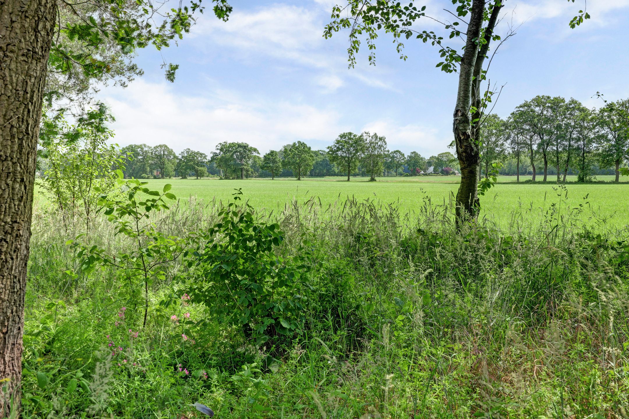 Photo 27 of Vosseveldseweg 15-134