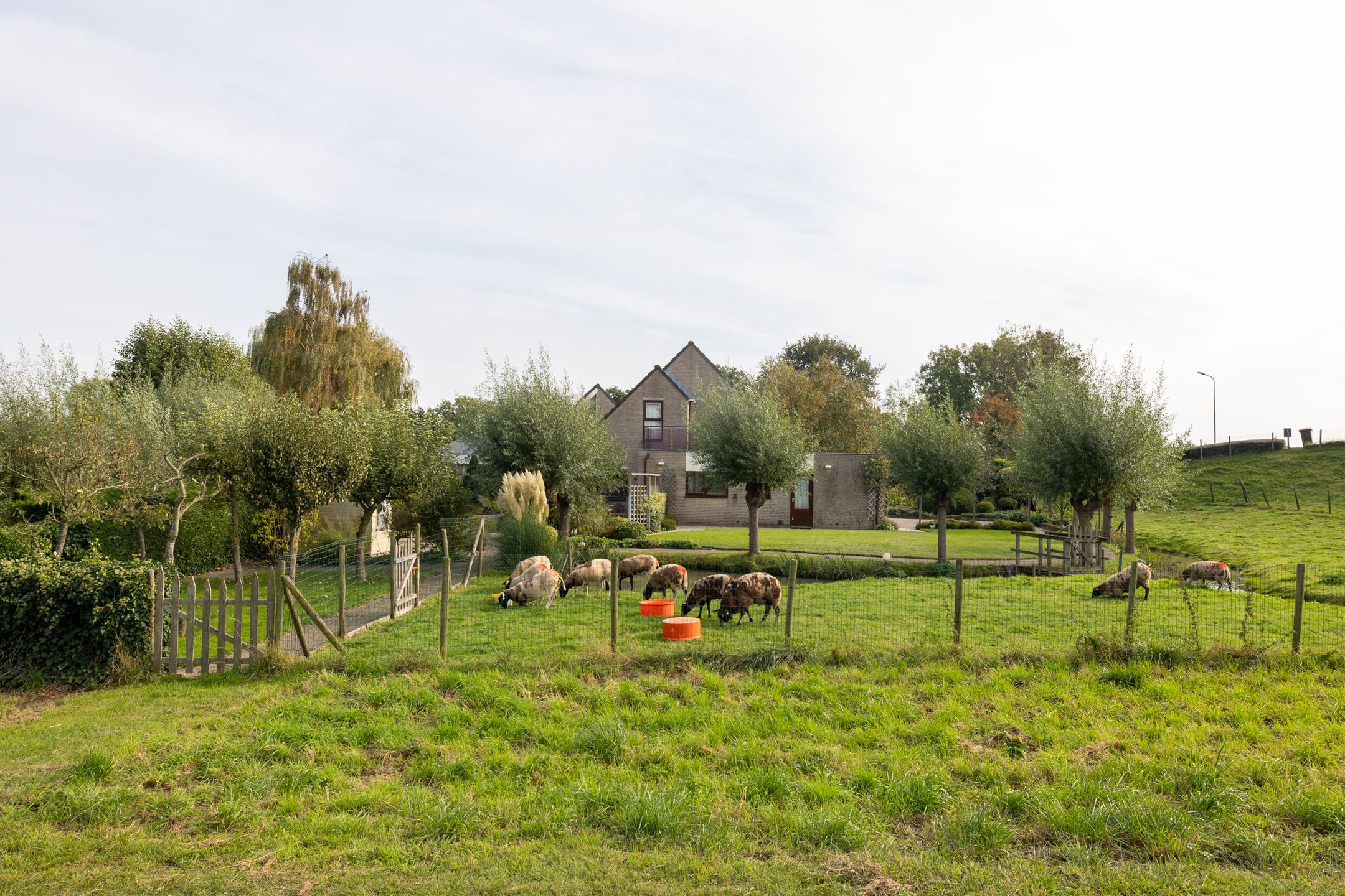 Foto 3 van Goejanverwelledijk 89