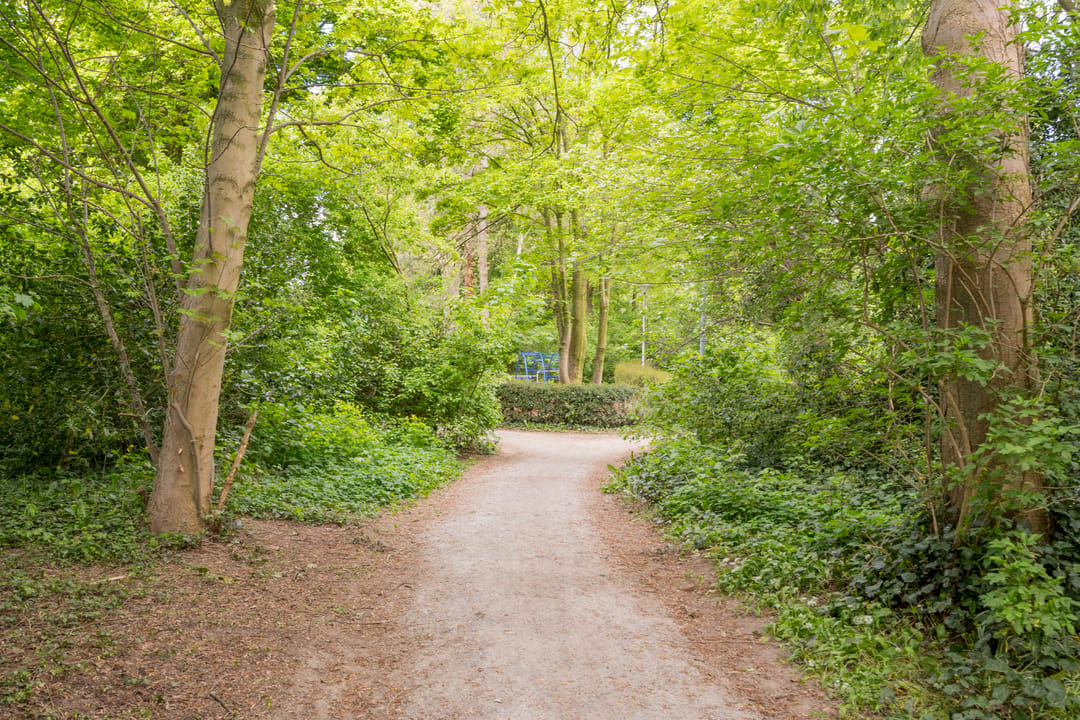 Photo 53 of Larixlaan 74