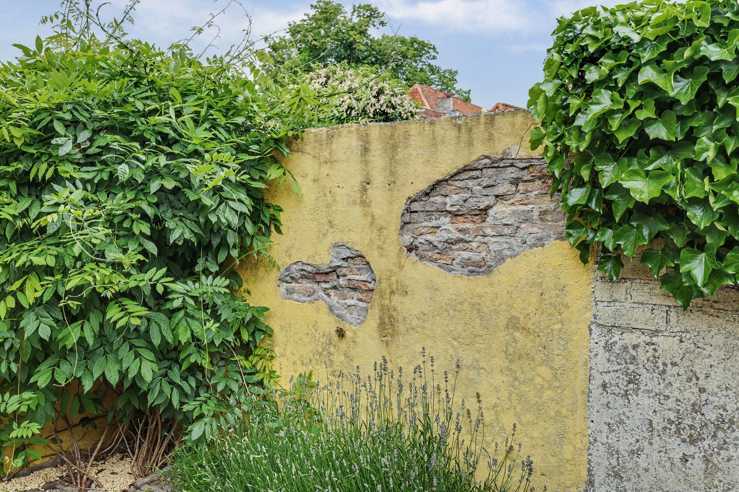 Photo 35 of Korte Groendal 12