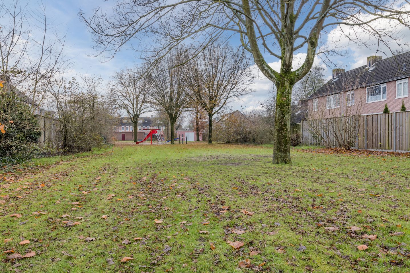 Photo 49 of Doornbos 54