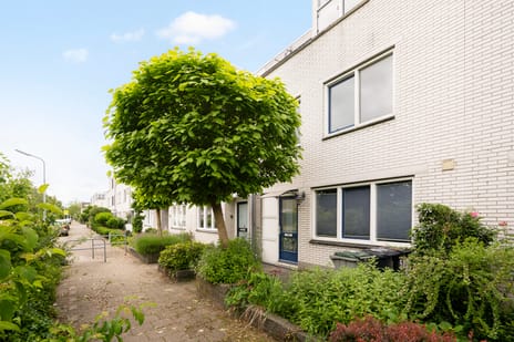 Betsy Perkstraat thumbnail