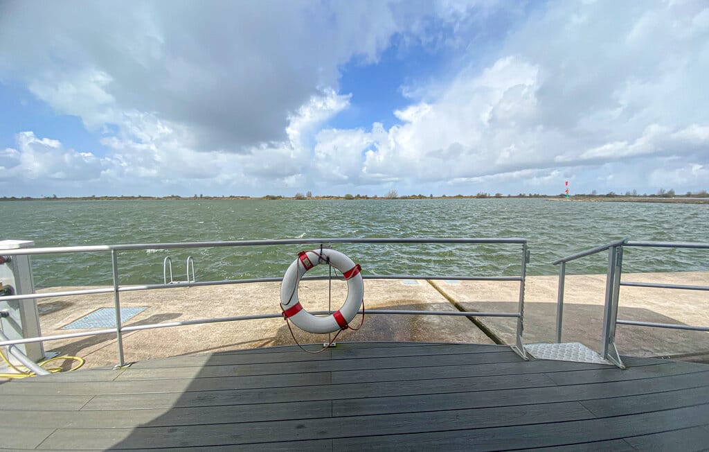 Foto 7 van Oostvaardersdijk 99041
