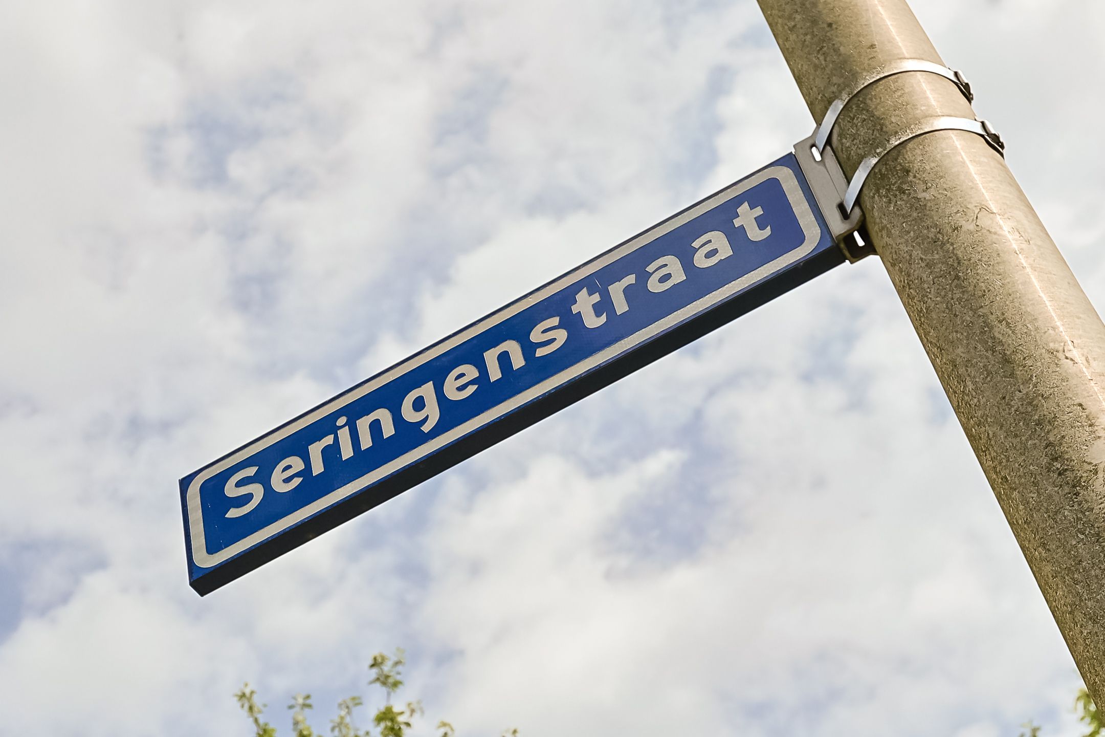 Photo 3 of Seringenstraat 24