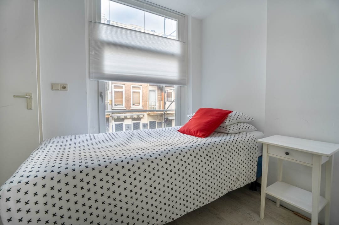 Photo 17 of Albert Cuypstraat 209-2