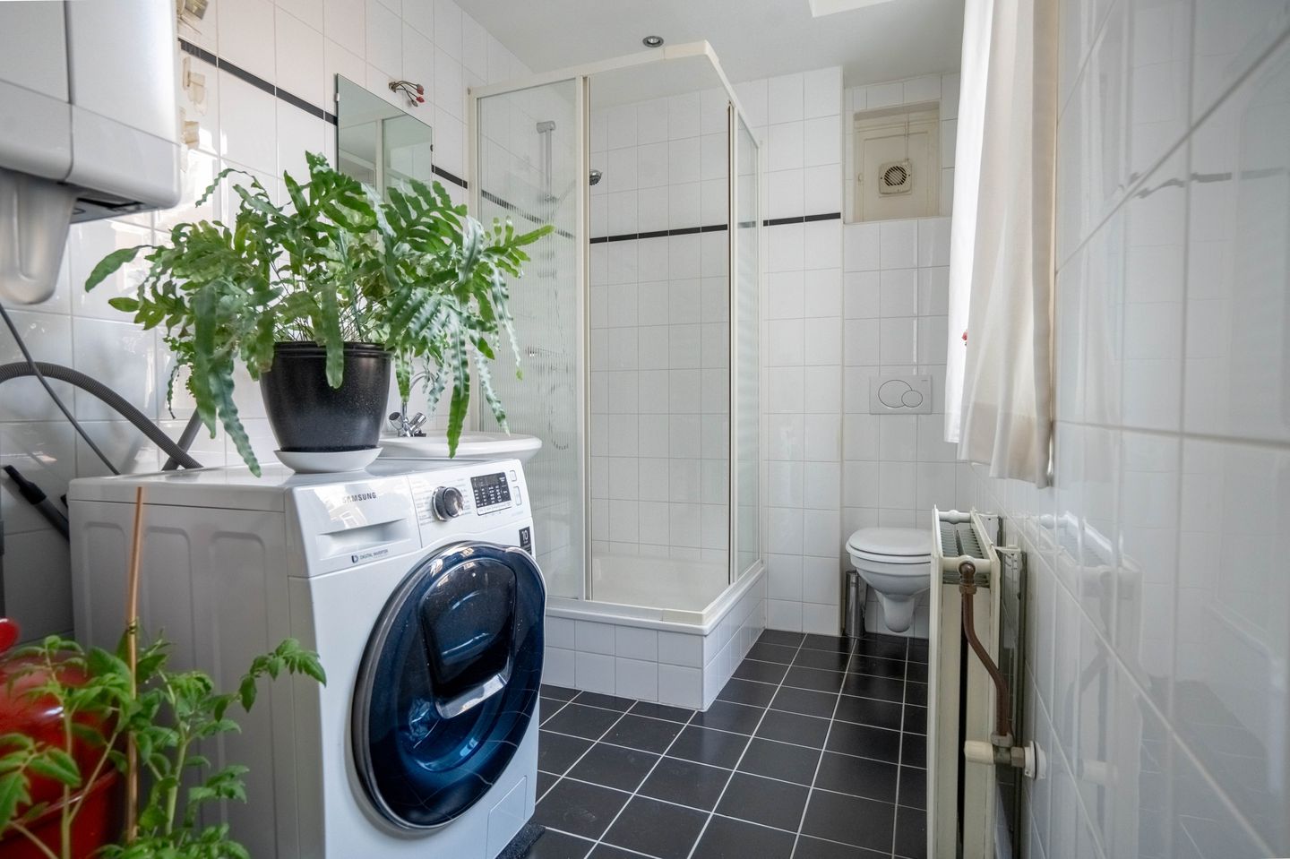 Photo 19 of Albert Cuypstraat 209-2