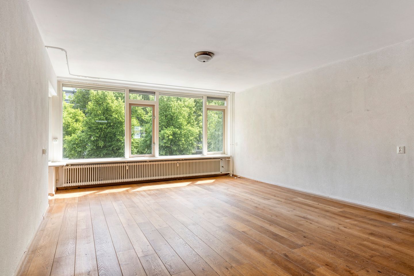 Photo 14 of Moerwijk 54-B