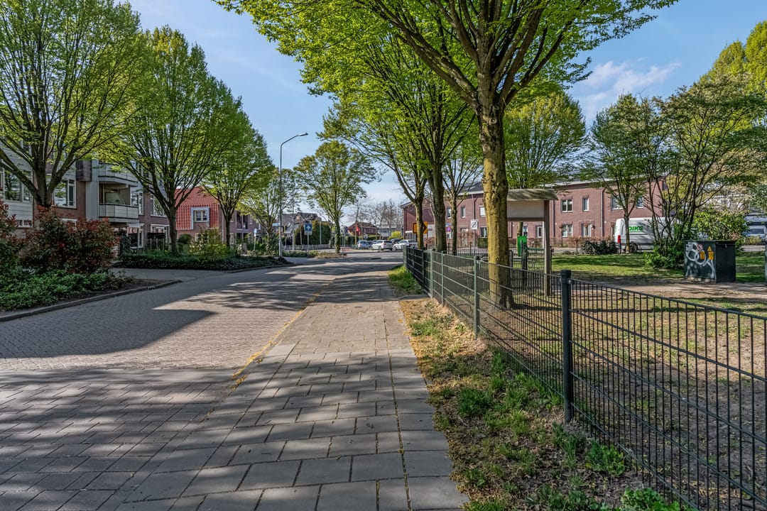 Photo 31 of Luttikenerf 8