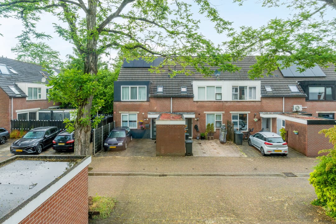 Photo 41 of Knoopkruid 46