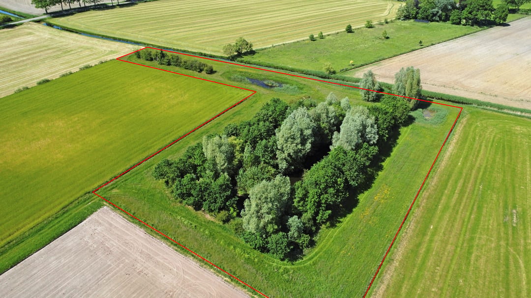 Charming 1903 Farmstead with Extensive Land and Development Potential in Laren — 37