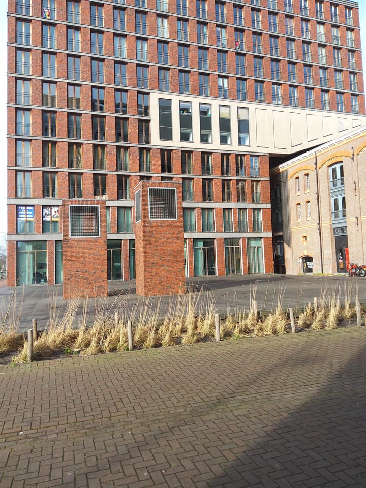 Foto 2 van Waagdragerhof 64