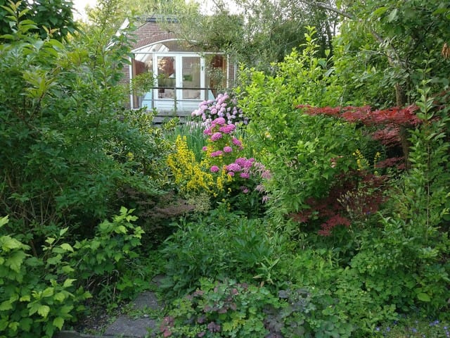 Photo 26 of Sloterweg 1257