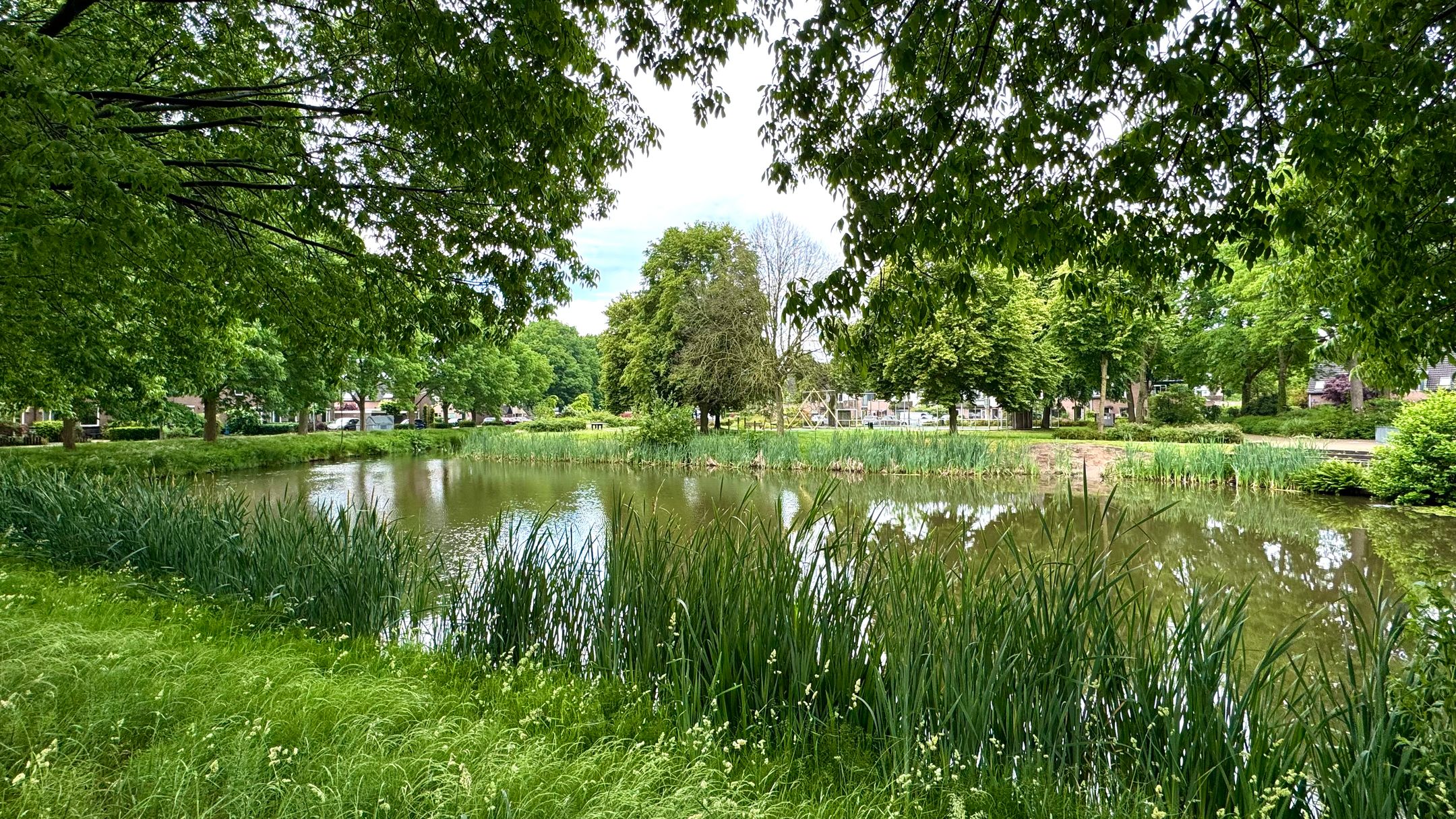 Photo 12 of Het Fortuyn 33