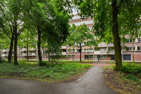 Professor Cobbenhagenlaan thumbnail