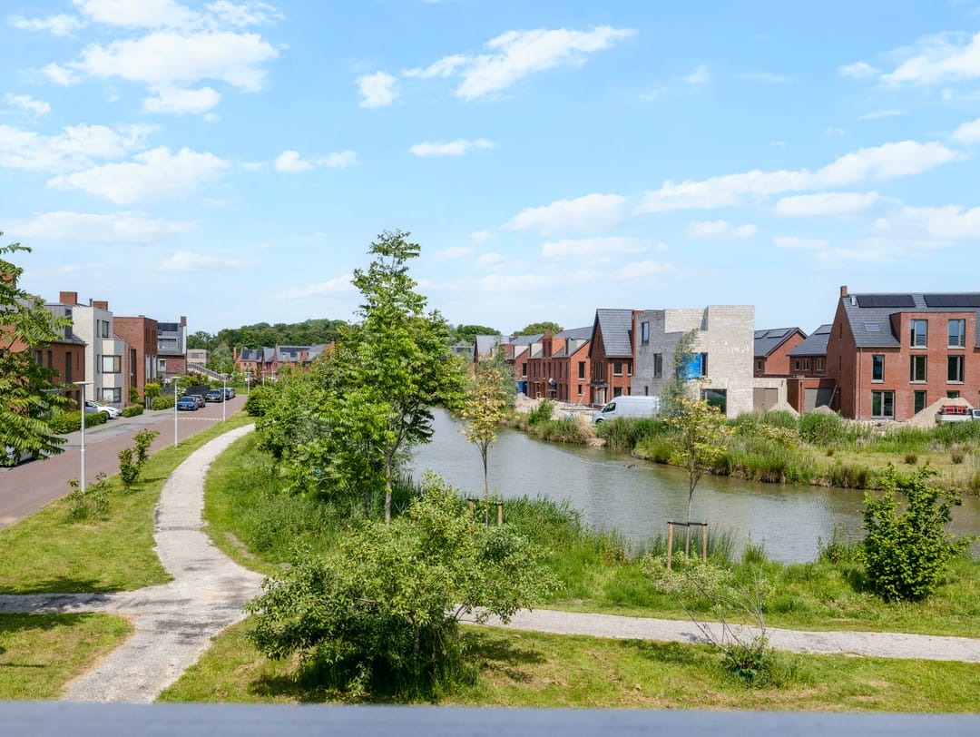Foto 58 van Wilde rucolavliet 97