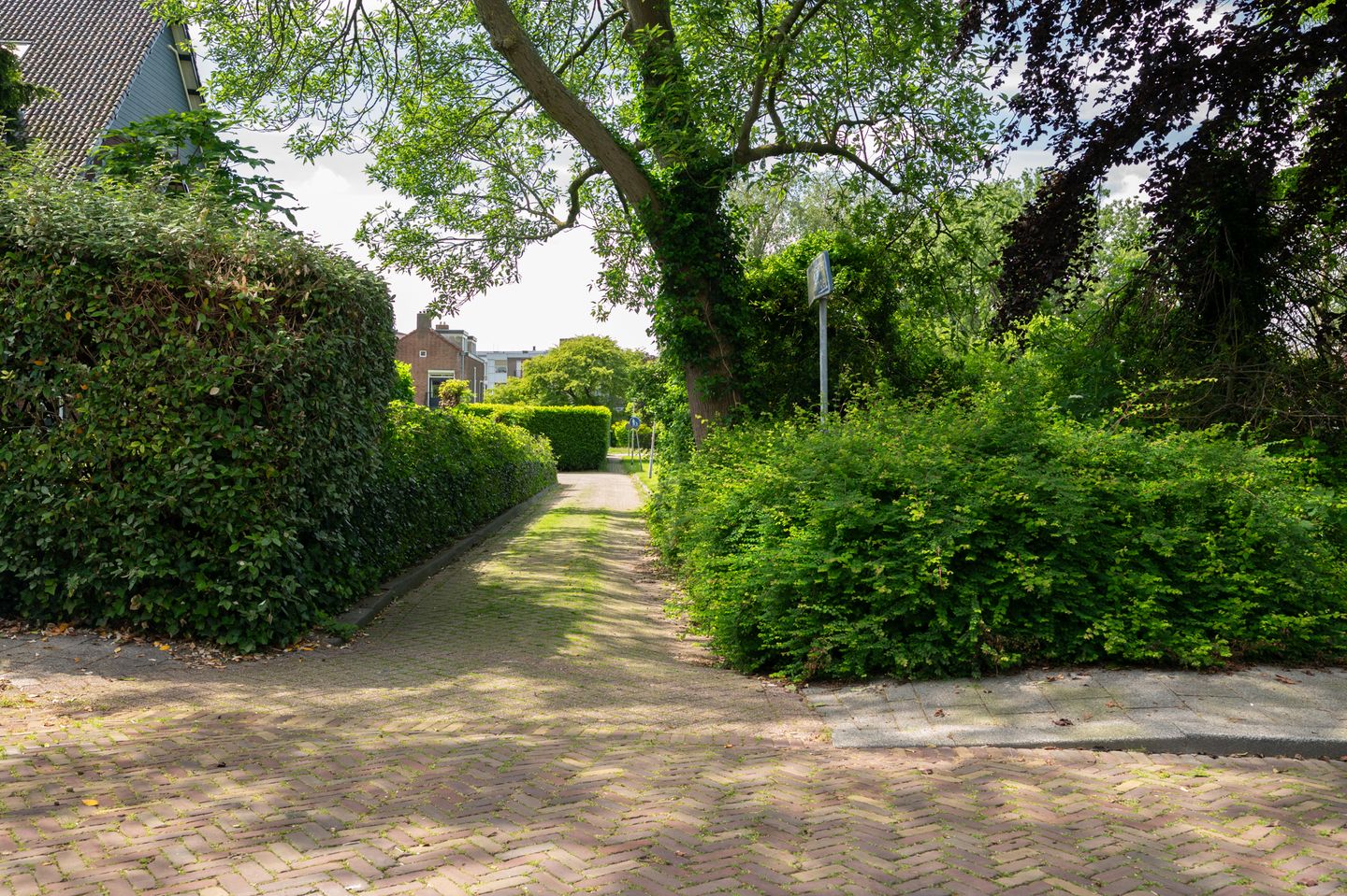 Foto 74 van Burgemeester Wijnaendtslaan 2