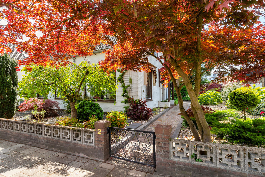 Spacious 1950s Detached Home with Sunlit South Garden — 7