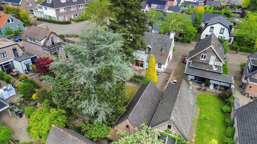 Spacious 1950s Detached Home with Sunlit South Garden — 67