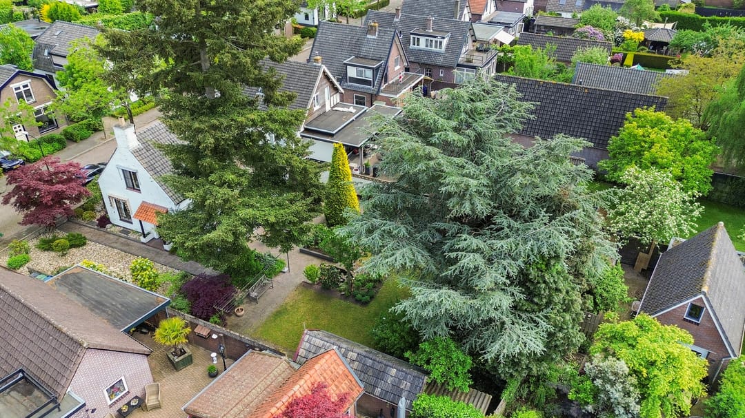 Spacious 1950s Detached Home with Sunlit South Garden — 68