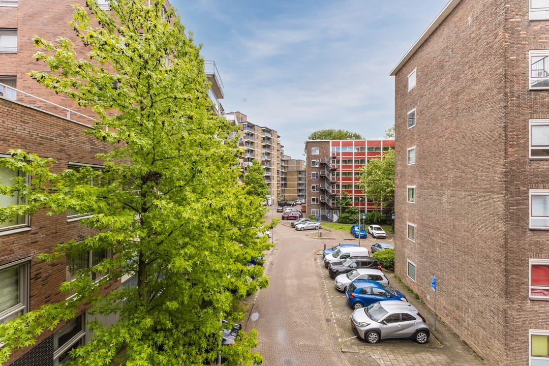 Foto 41 van Nieuwe Damlaan 778