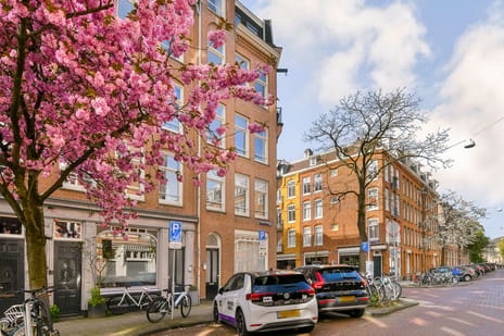 Balthasar Floriszstraat thumbnail