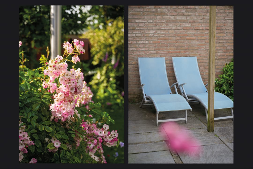 Photo 41 of Mastdammenhoeve 3