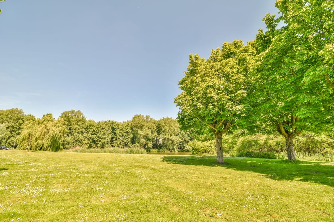 Foto 31 van Herentalsstraat 64