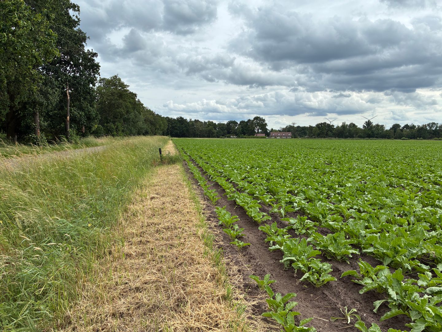 Bekijk foto 3 van Visdijk
