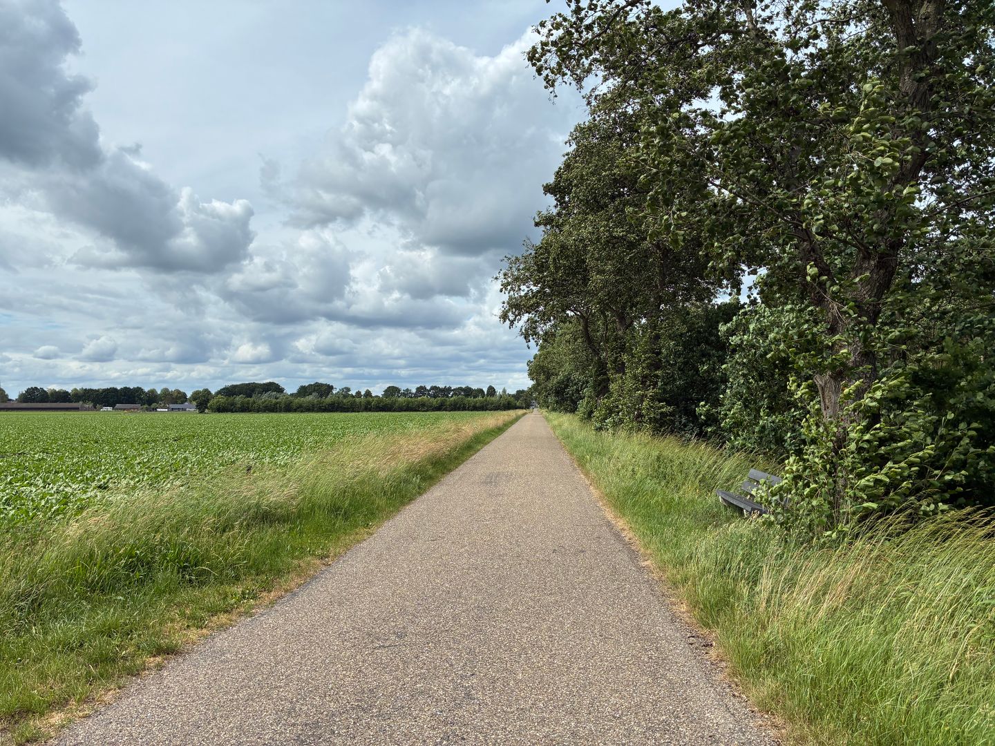Bekijk foto 5 van Visdijk